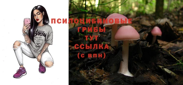 ECSTASY Абдулино