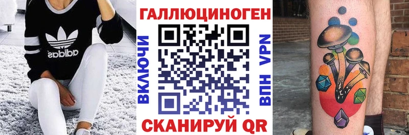 omg маркетплейс  Енисейск  Галлюциногенные грибы Psilocybine cubensis  где продают  